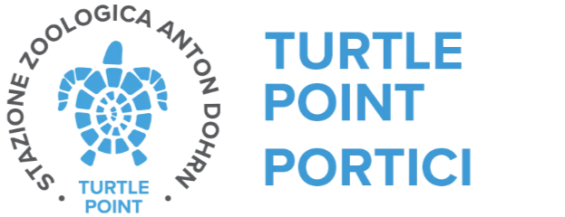 Turtle Point Portici